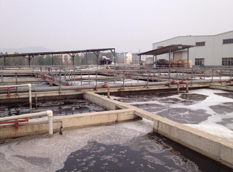 Tannery effluents treatment